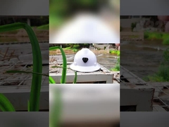 Анти- шлем безопасности EN397 бованки изделия удара 6 пунктов подвеса для электричества